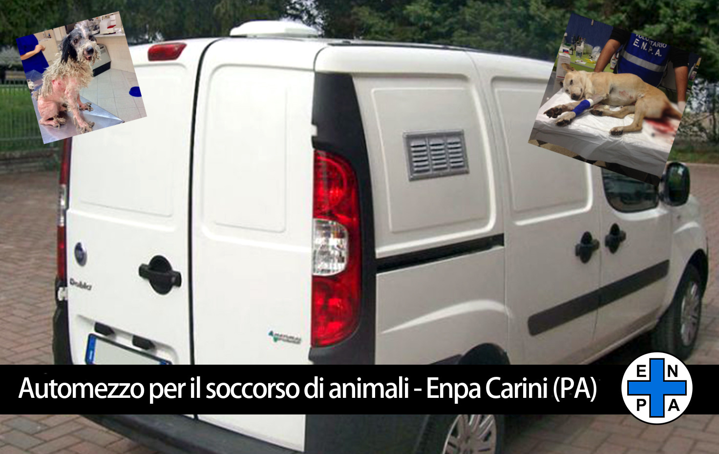 Un automezzo per soccorrere gli animali feriti di Carini