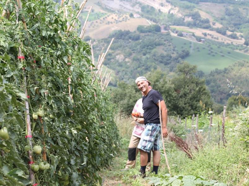 Casale il Baronetto, Bed & Breakfast eco-friendly a Castiglione Messer Raimondo, Italia