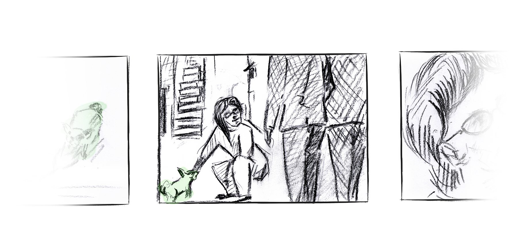 Storyboard - Oh, ma che bel cane 2