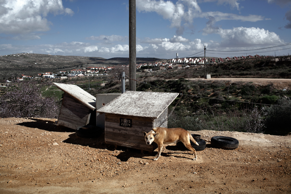 Pietro Masturzo - Facts on the ground