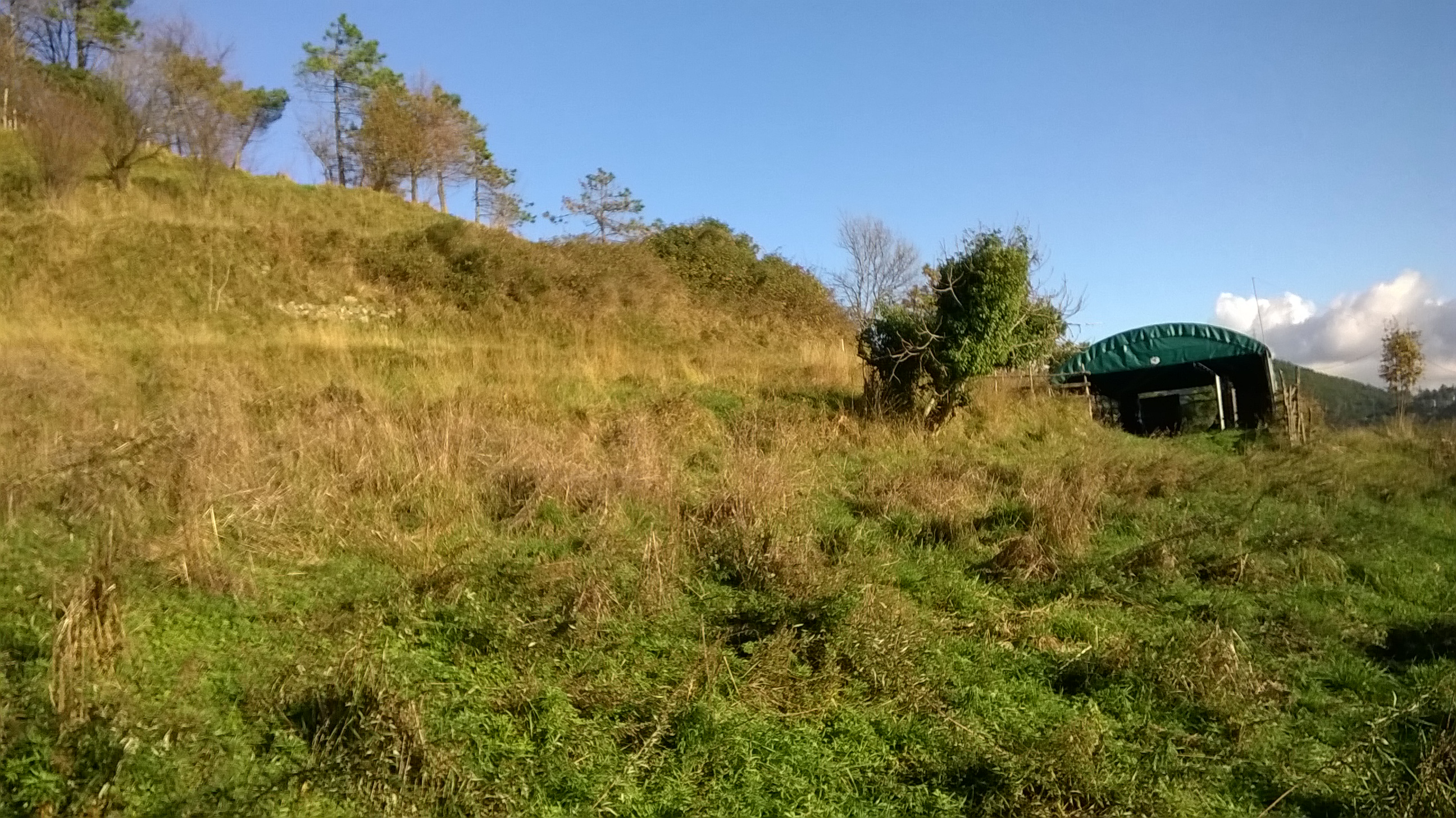 la stalla