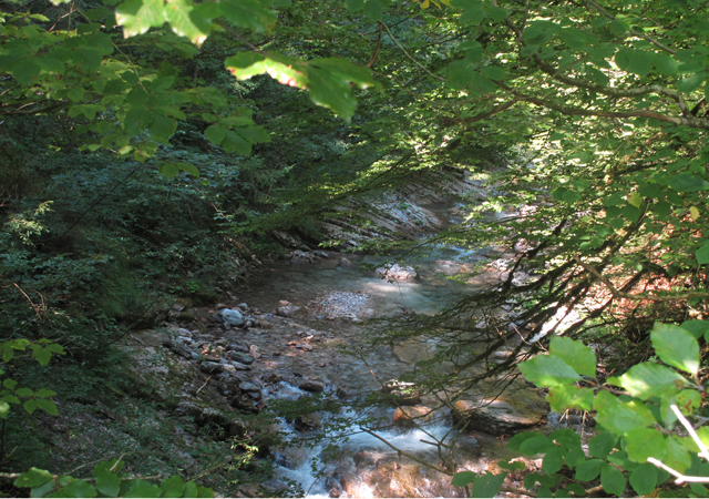 Acqua guerriera  Ediciclo Editore s.r.l.