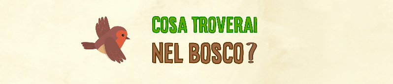 Cosa torverai nel bosco?