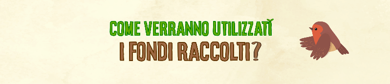 Come verranno utilizzati i fondi raccolti?