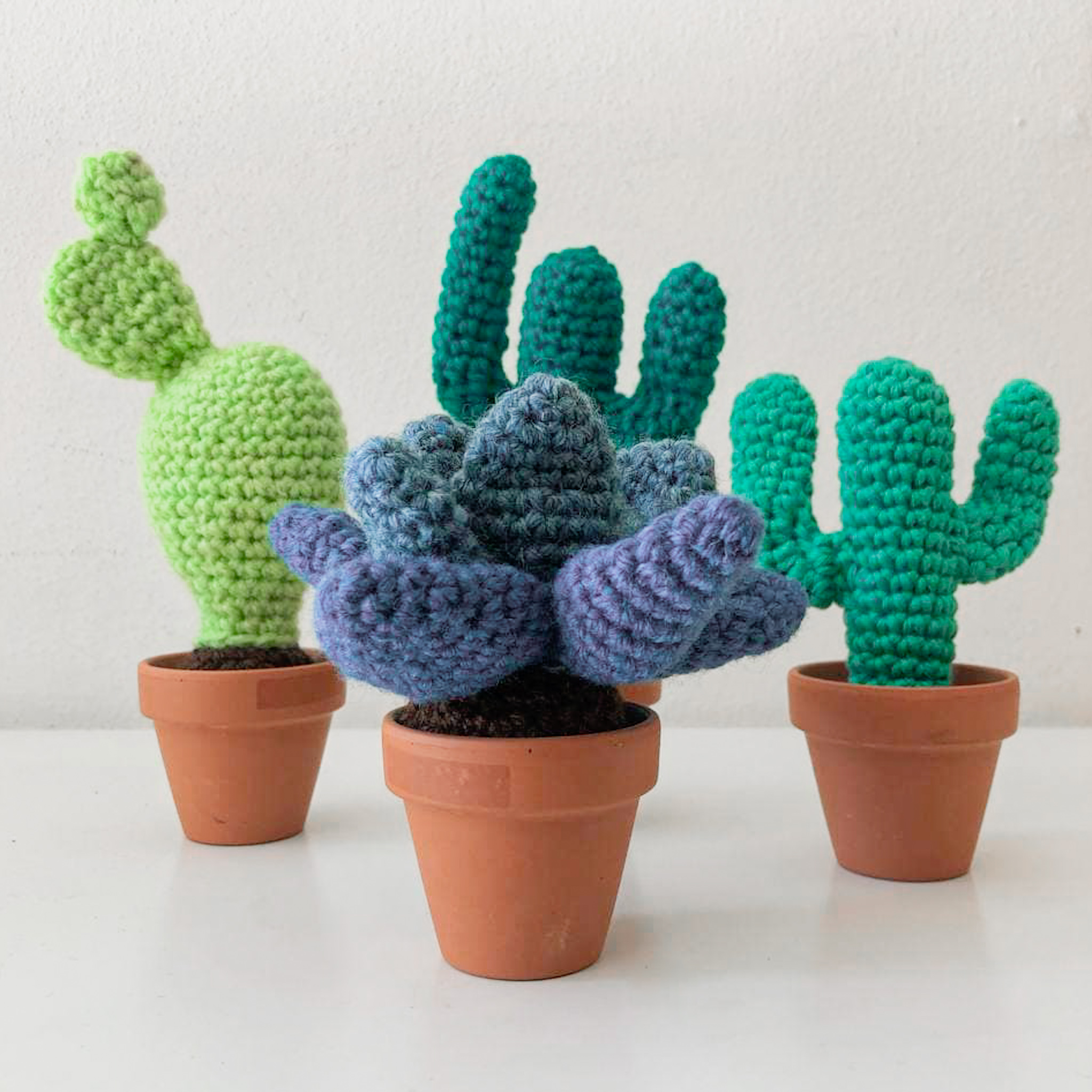 Foto di cactus all'uncinetto