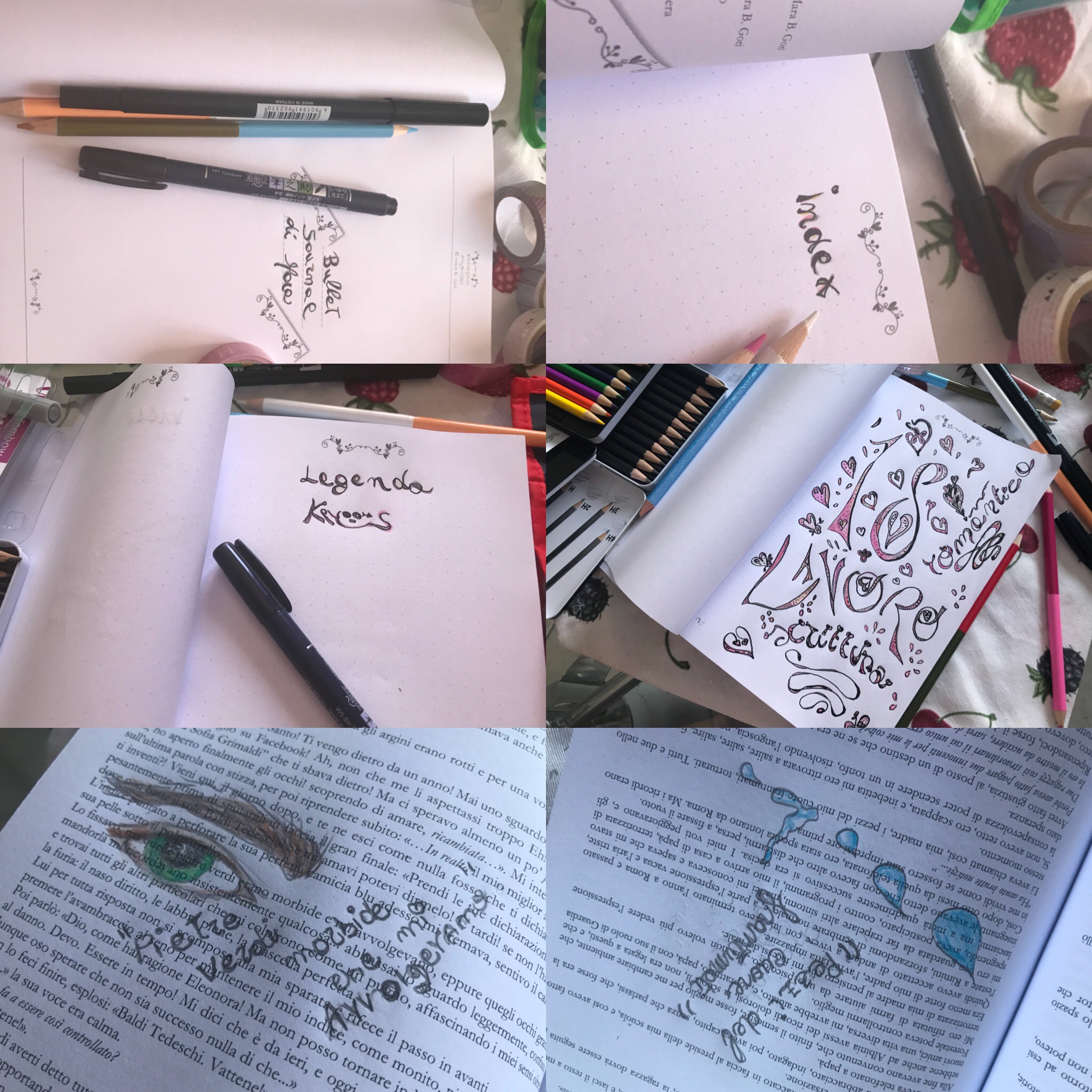 Interno libro