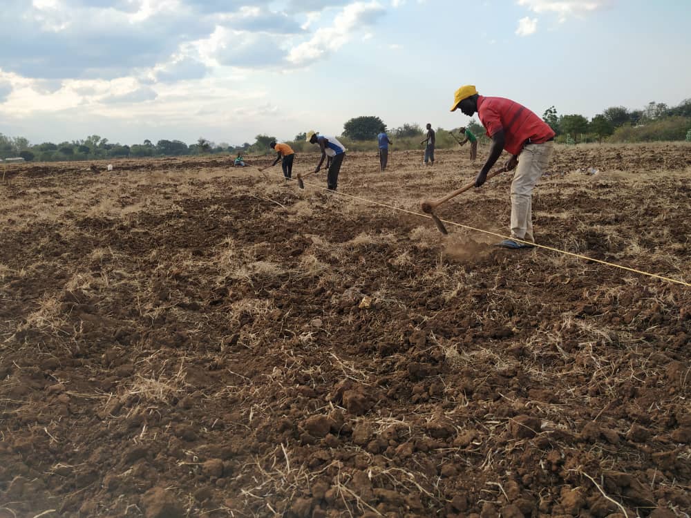 Progetto agricolo Njere