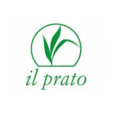 logo edizioni il prato