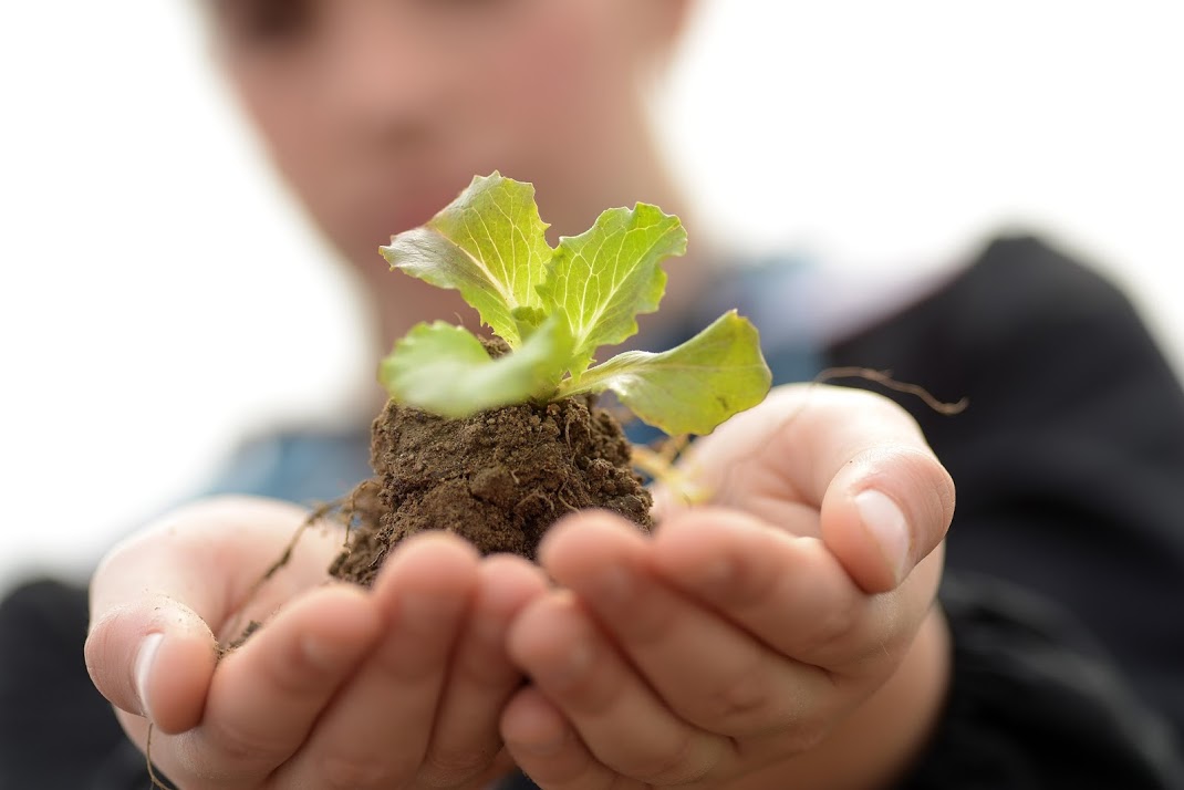 Earthie.it: Crediamo nel cibo sano