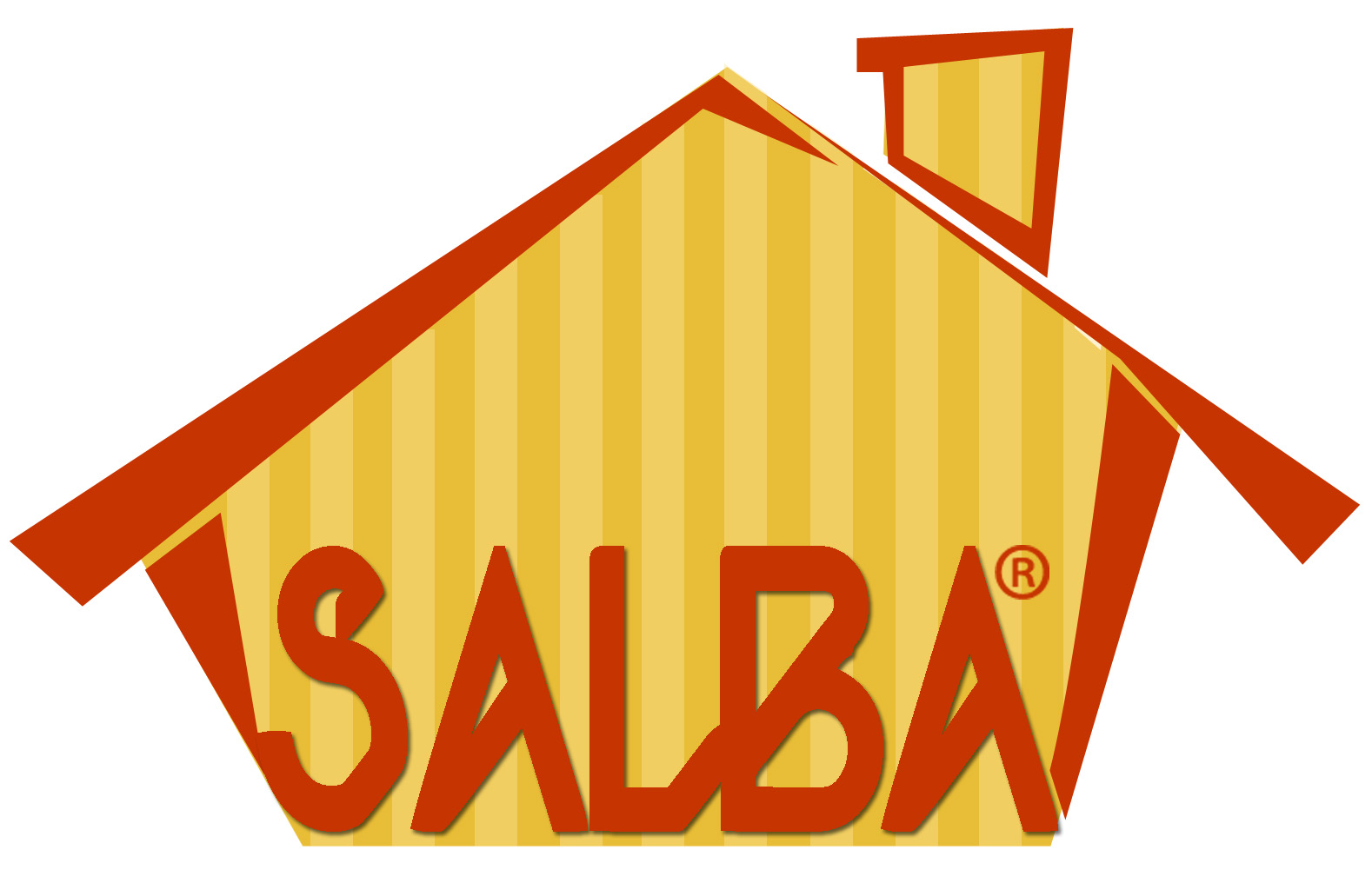 Nuovo Assorbigoccia Salba