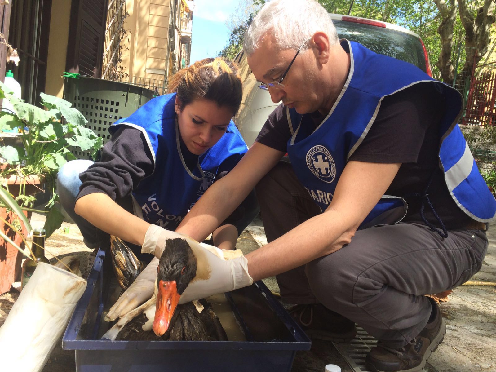 Costruiamo il rifugio per gli animali selvatici in Liguria