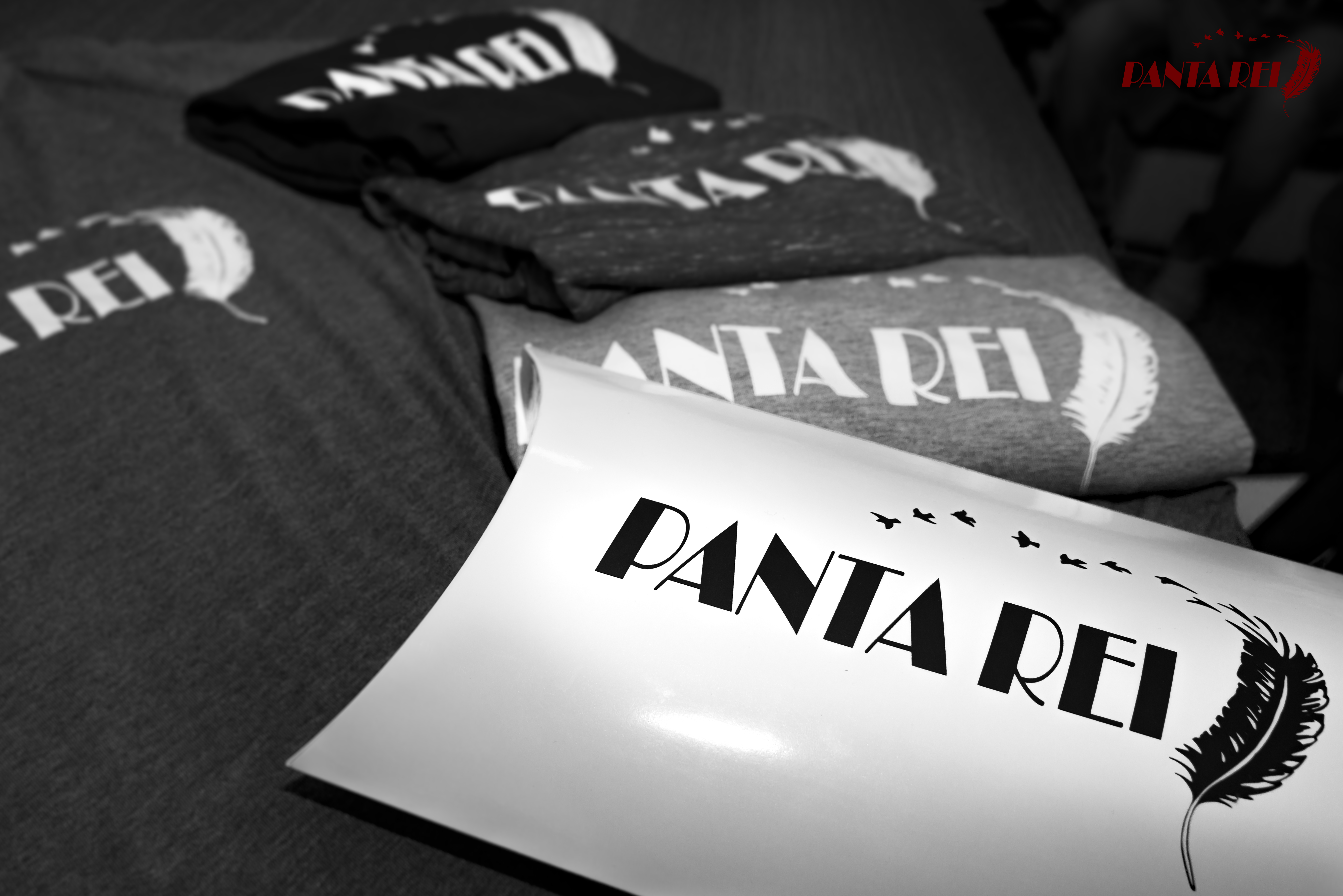 PANTAREI OFFICIAL T-SHIRT
EXSCLUSIVE BRAND