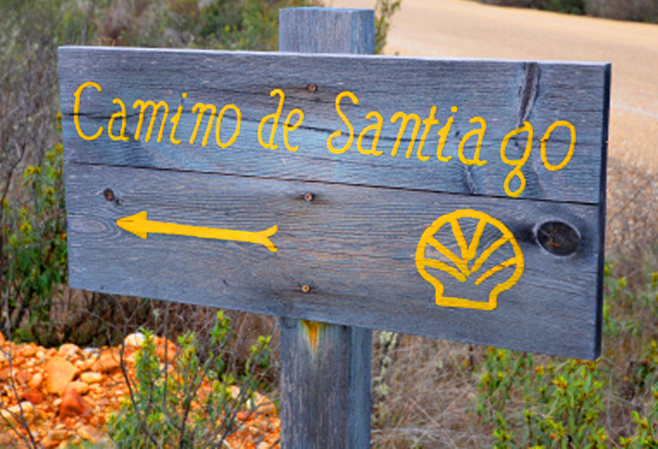 Il cammino verso Santiago