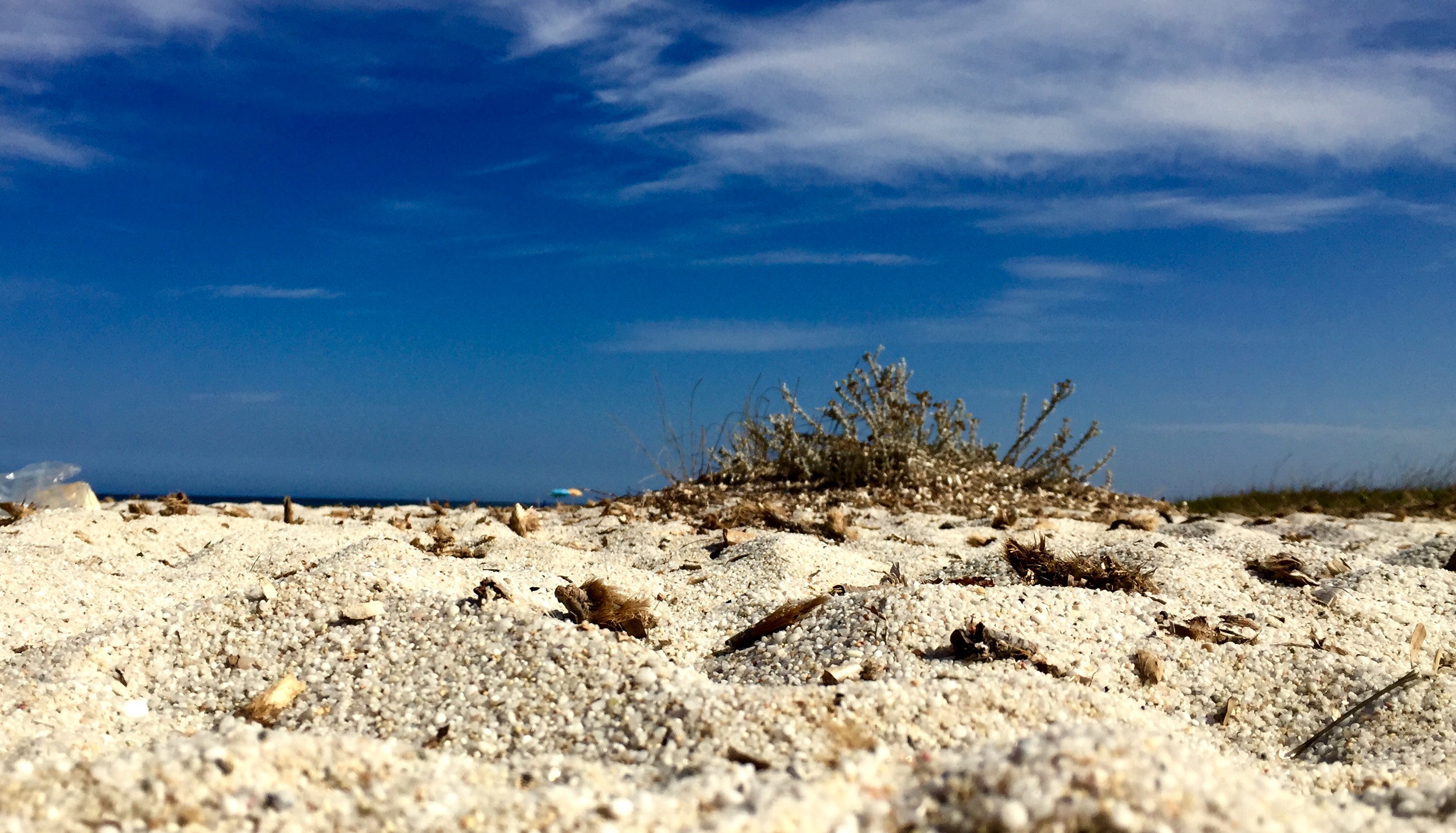 IO IL MIO VIAGGIO E VOIquando un viaggio non si fa da soli