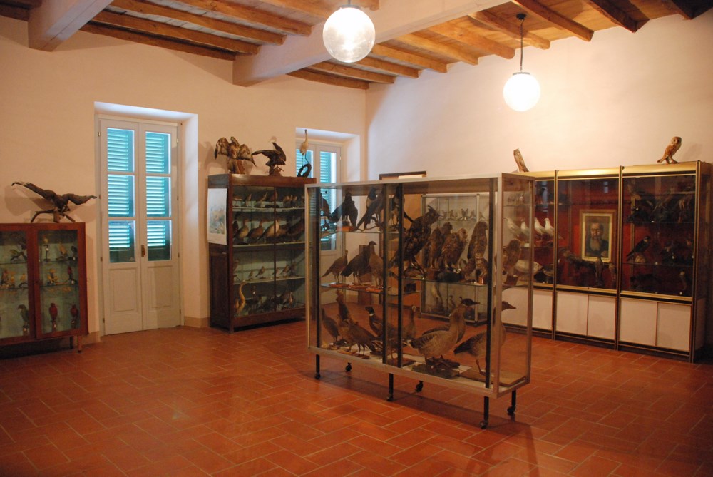 Una Televisione per il Museo