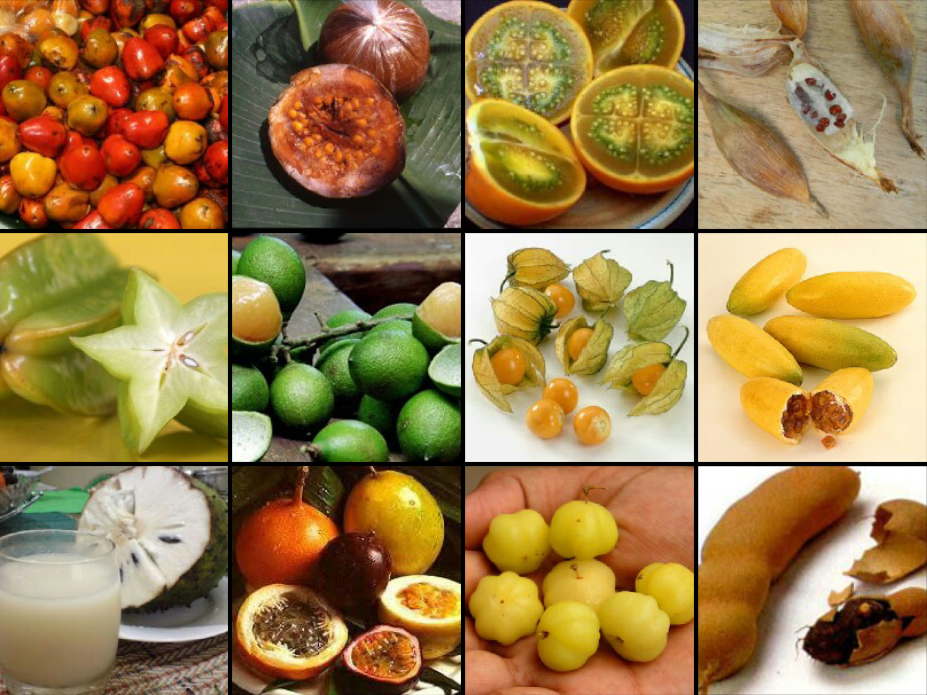 Frutti della passione