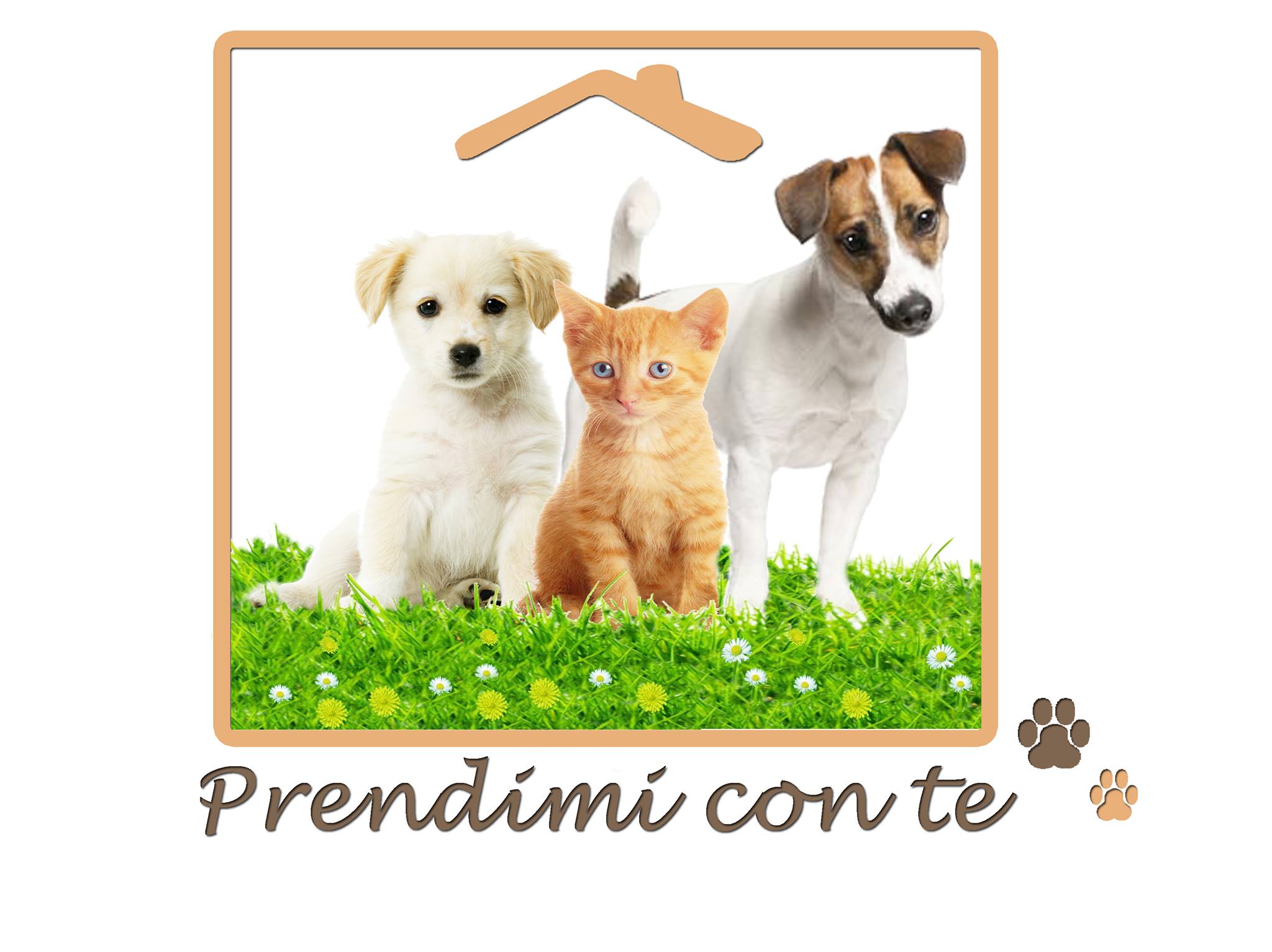 Raccolta fondi per prodotti Cani & Gatti Raccolta fondi per prodotti Cani & Gatti