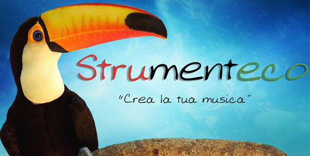 STRUMENTECO - Libro guida per creare strumenti musicali autocostruiti e adatti alla musicoterapia