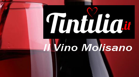 Bere la Tintilia nel Mondo Bere la Tintilia nel Mondo