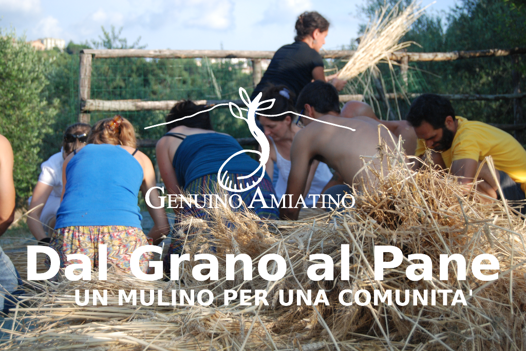 Dal Grano al Pane