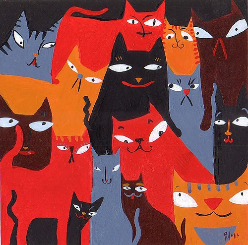 I gattini hanno bisogno di voi!