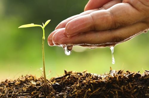 PIANTIAMOLA!
Alberi e studenti, basta cementi!!!
