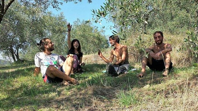 Ricerca terreni agricoli 10-20 ettari in Toscana o Sicilia