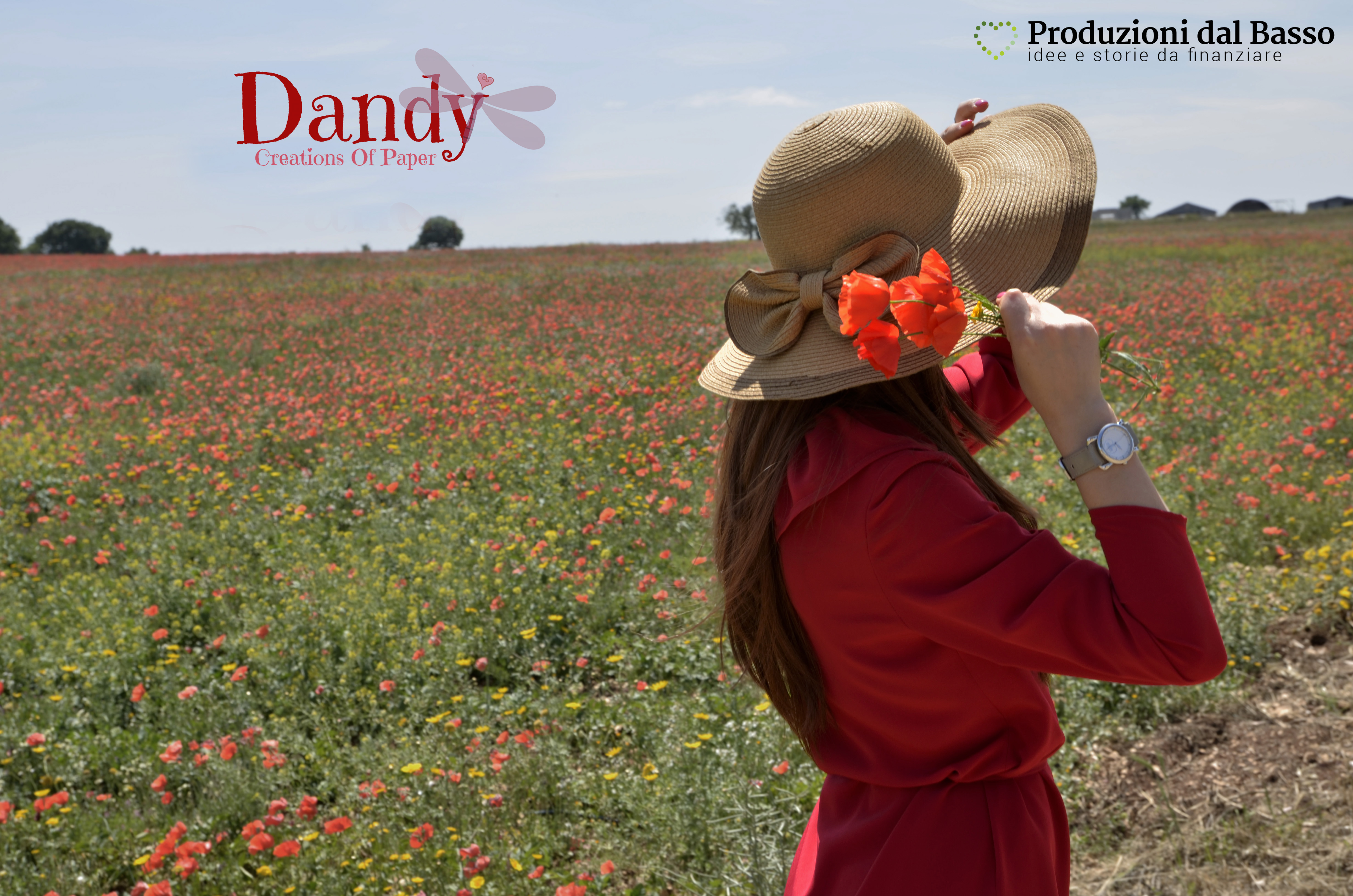 Dandy: un sogno di carta!