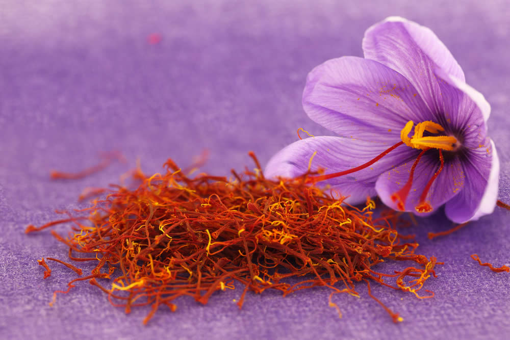 Krocus sativus - l'oro rosso
