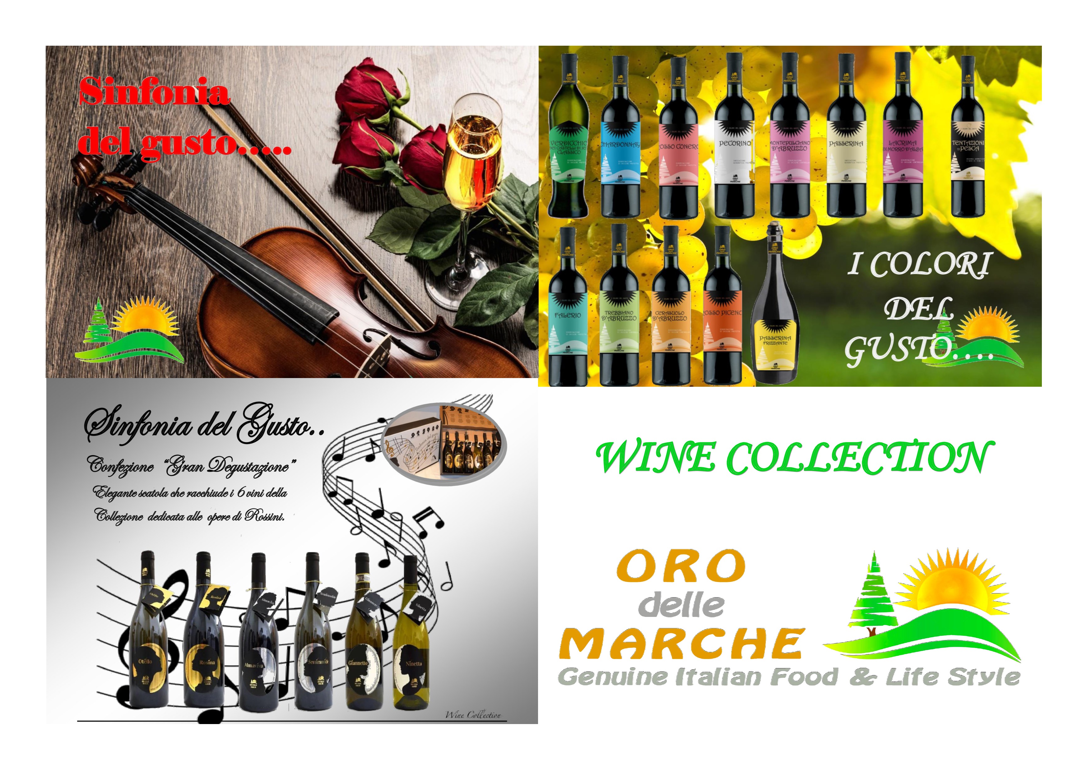 Dare valore alla Regione Marche e al suo “Oro”: il vino!