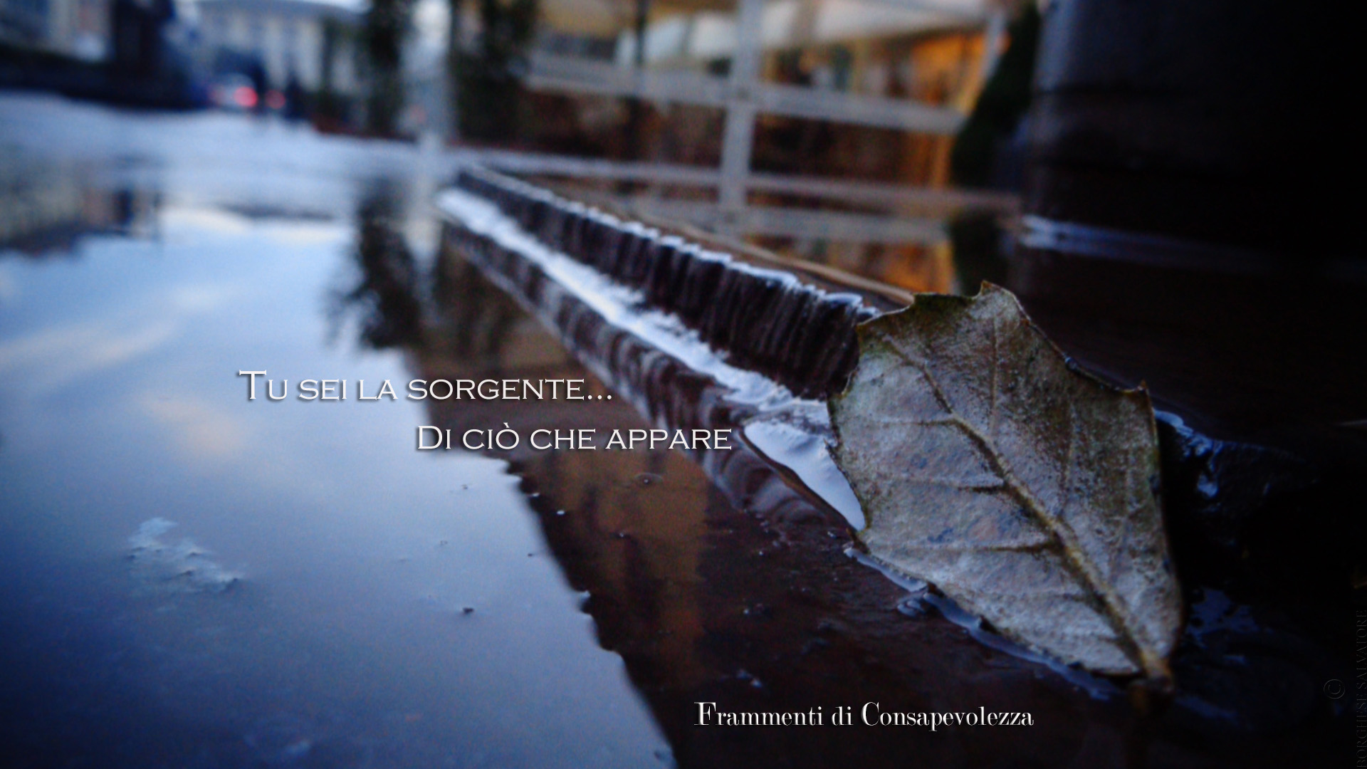 Frammenti di Consapevolezza