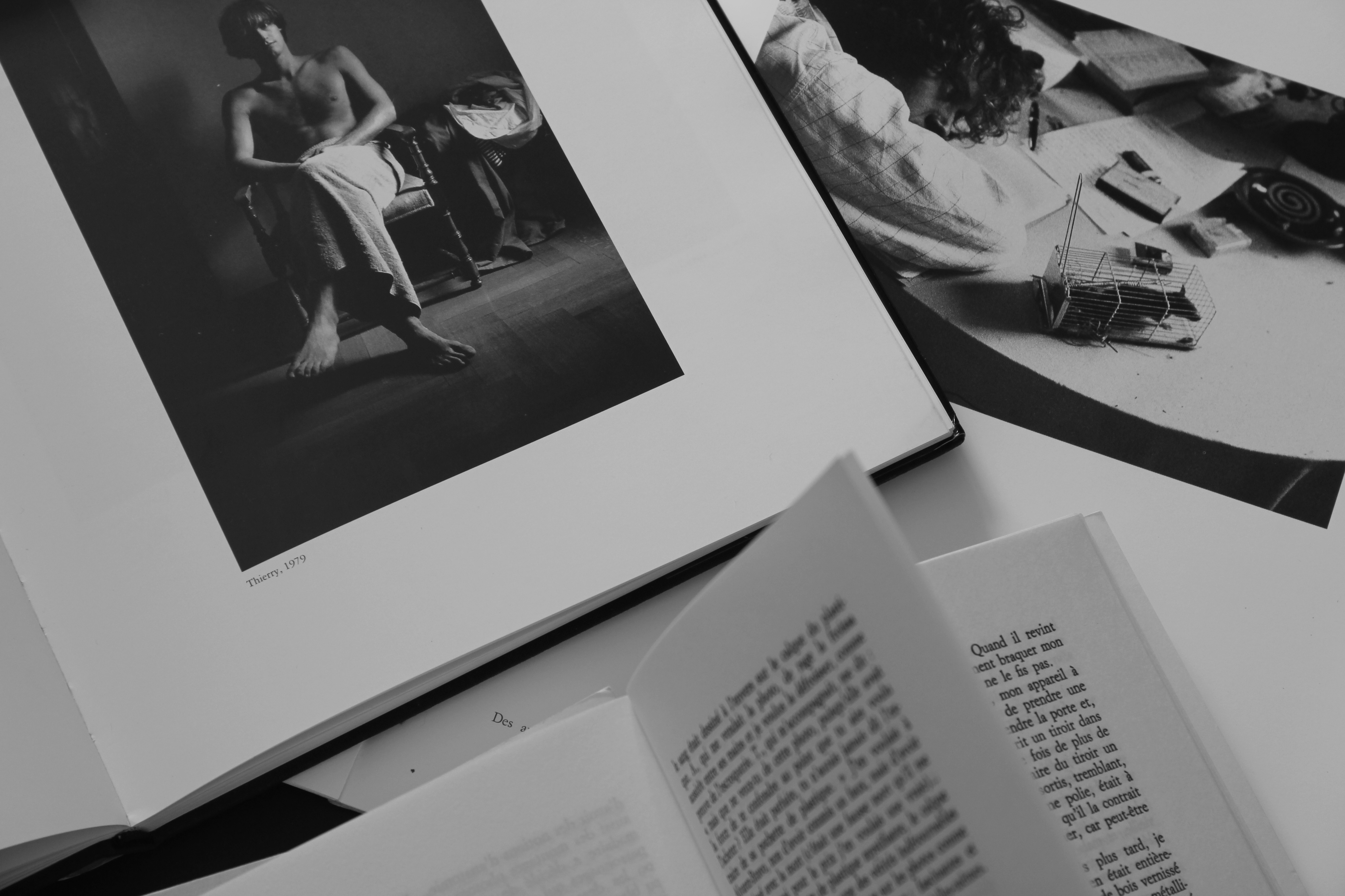 Le Passioni dell'io. Hervé Guibert "lettore" di Michel Foucault