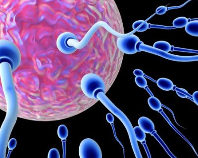 fecondazione assistita: tutto quello che dobbiamo sapere per una scelta consapevole