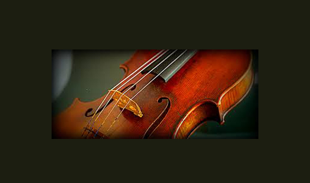 ITALIAN VIOLA ENSEMBLE IN NEW ZEALAND! Support the partecipation of the Italian Viola Ensemble to the 44th International Viola Congress in Wellington, New Zealand September 1-5 2017