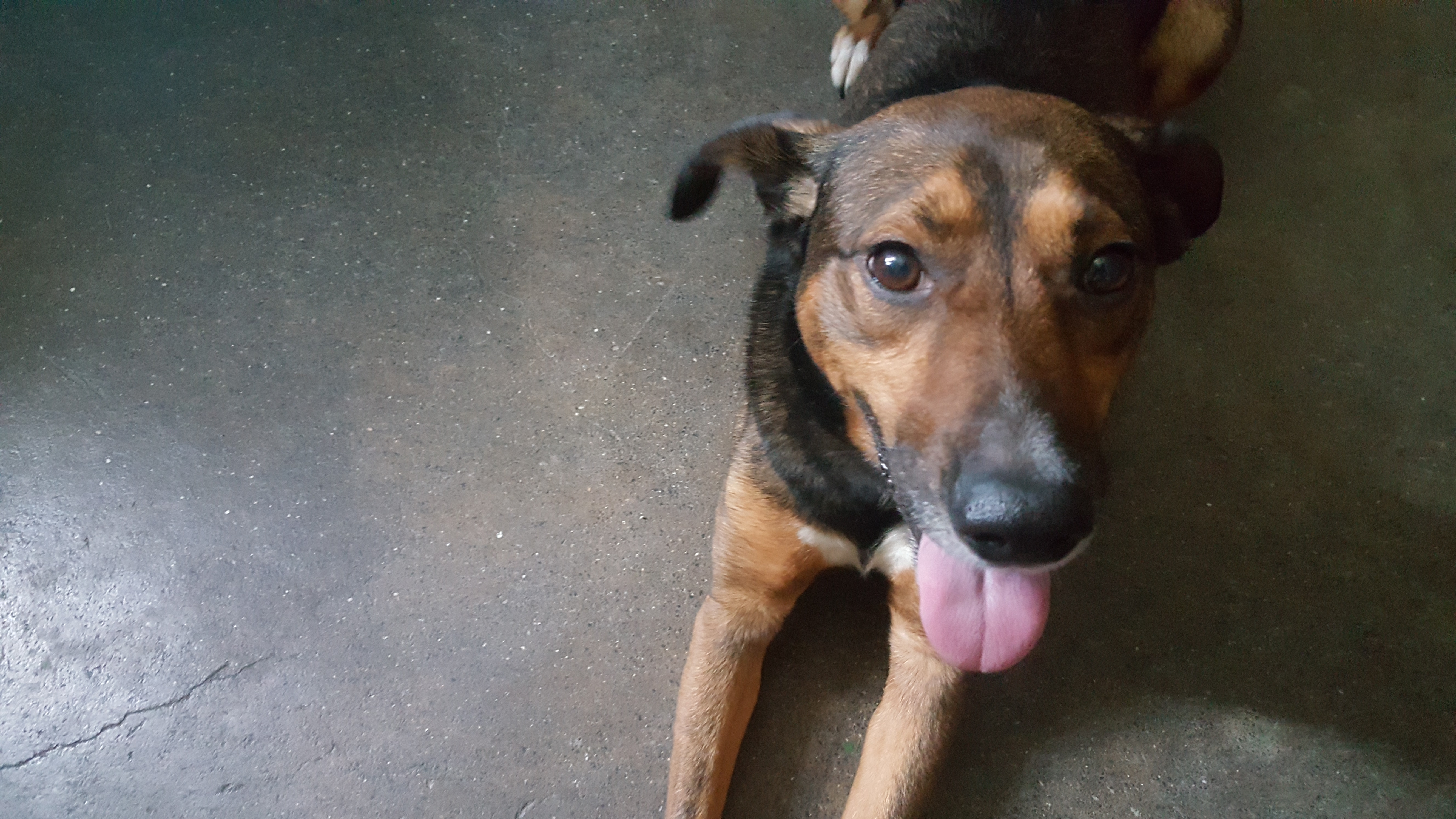 Mi chiamo Castiel