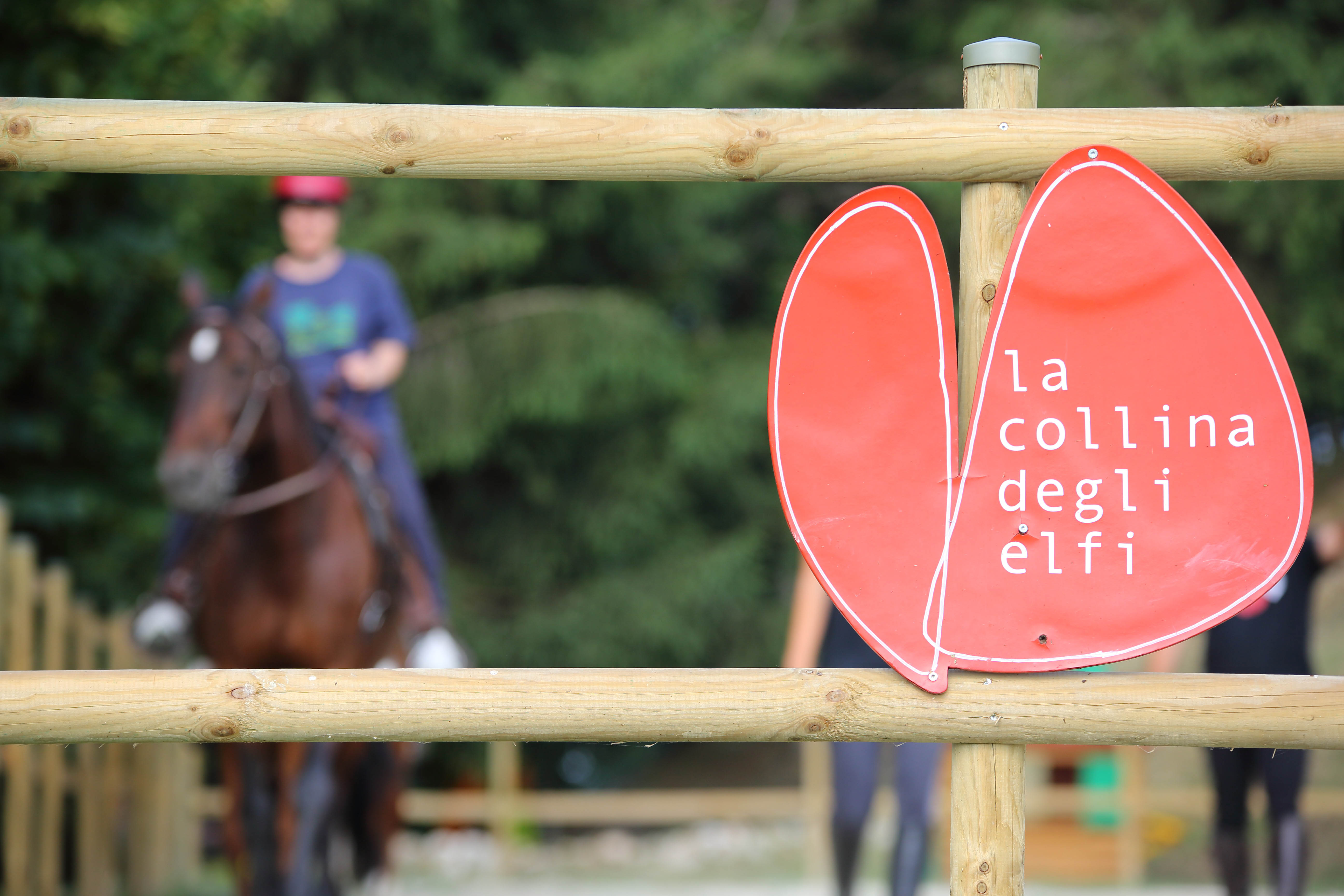 Sorridere con i cavalli a La Collina degli Elfi!