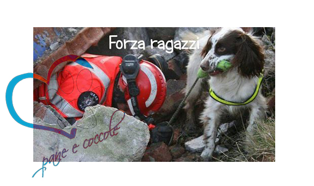 Pet Therapy per i bambini terremotati della regione Marche