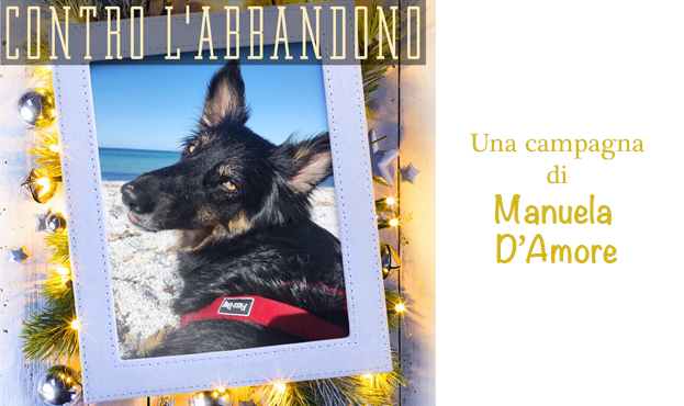 CONTRO L'ABBANDONO CONTRO L'ABBANDONO