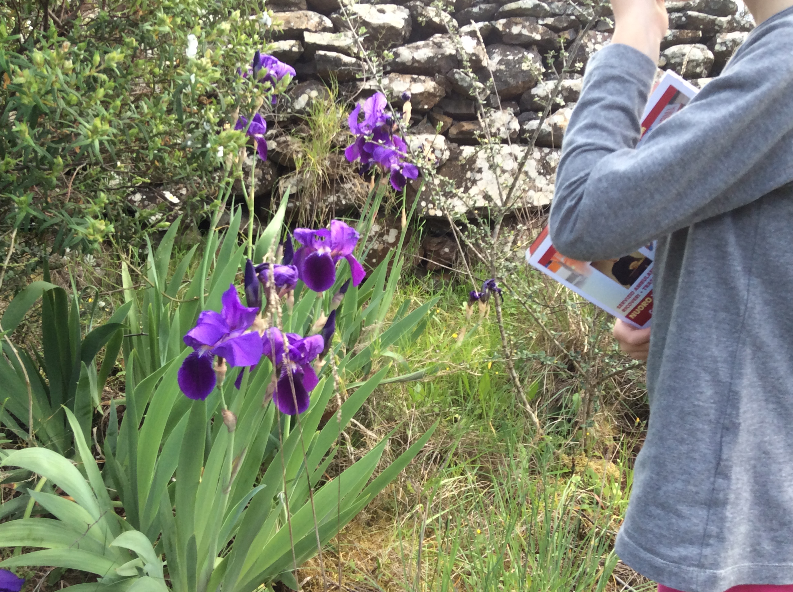 Vivere in campagna Vivere in campagna