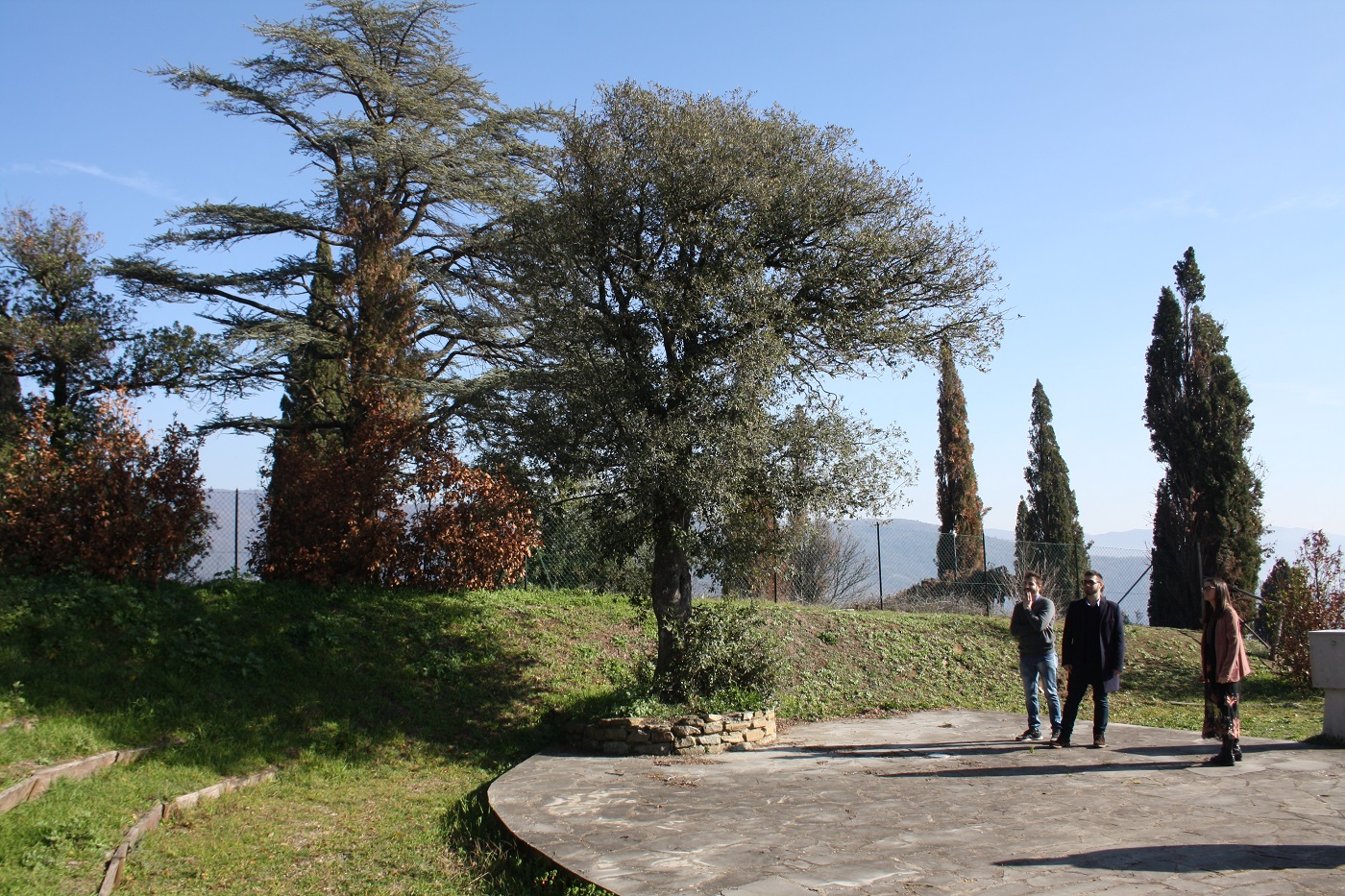 Teatro, sport per la mente