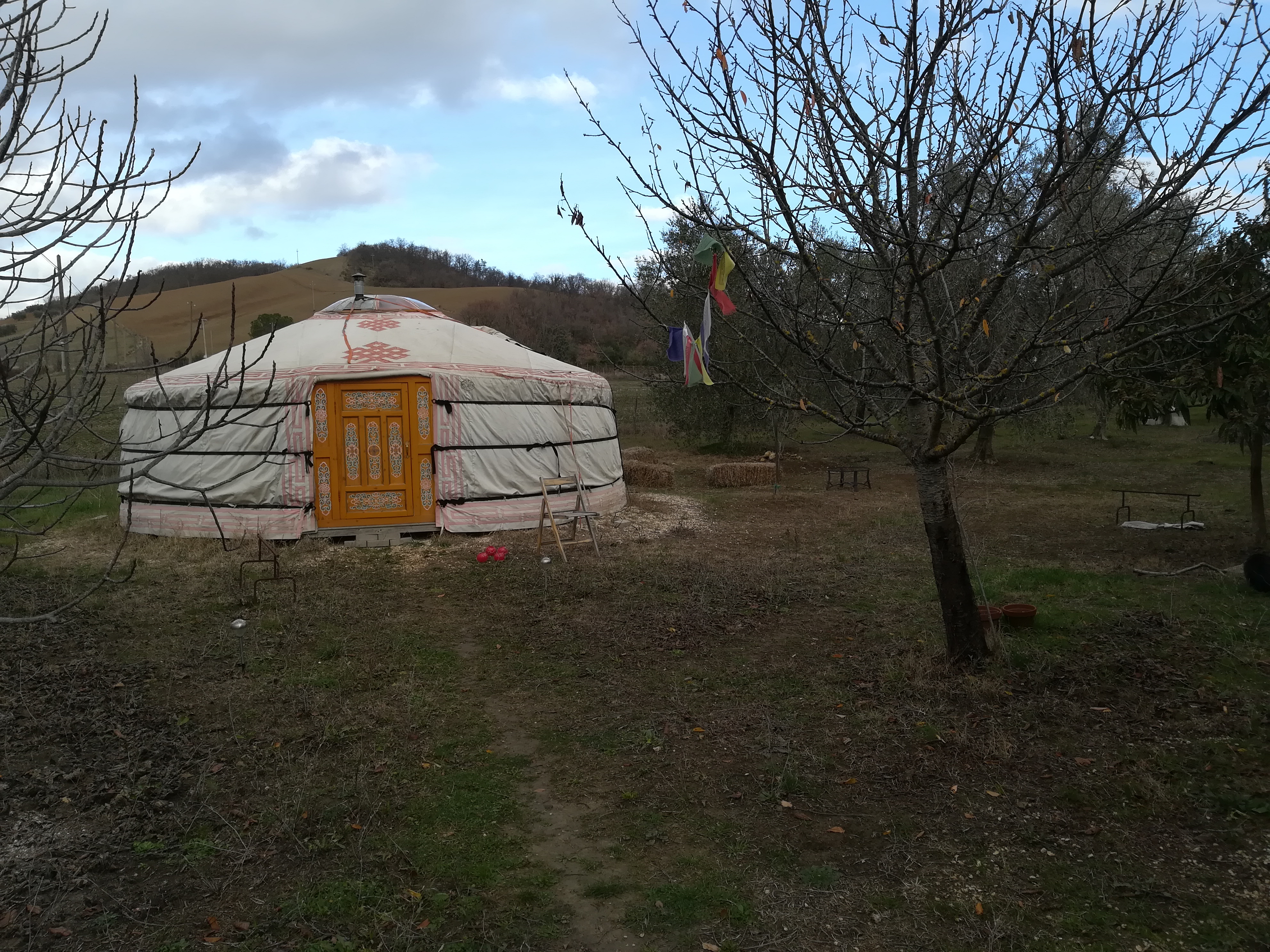 Campo delle idee
