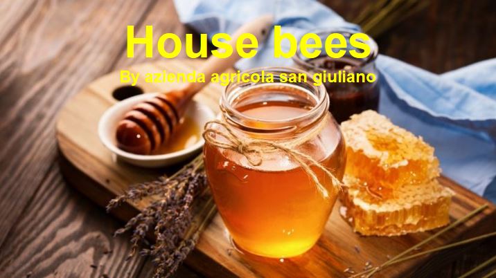 House bees