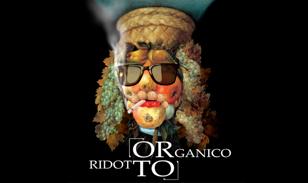 ORto, vol.1 - Il disco di Organico Ridotto
