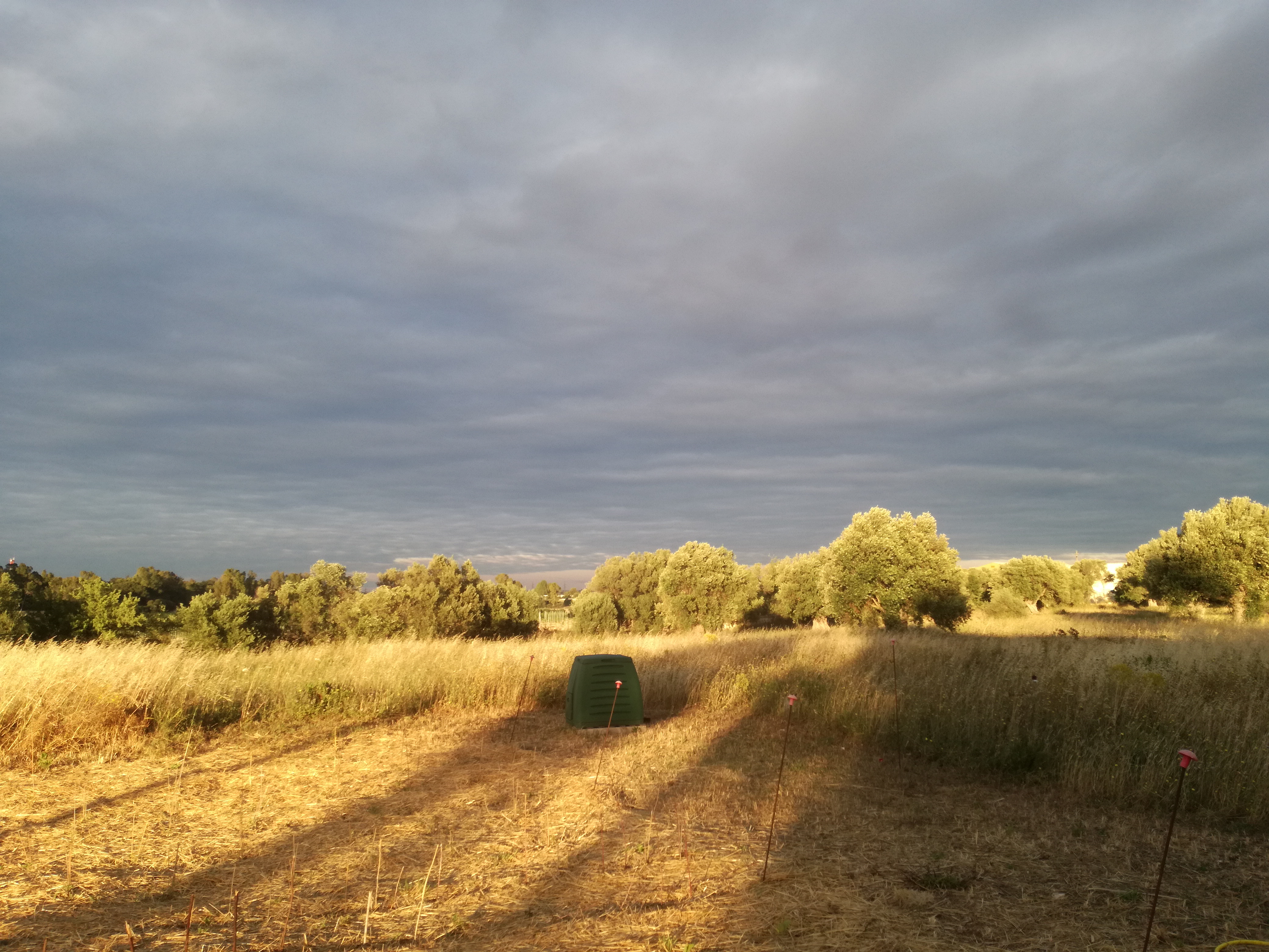 Orto-giardino nutraceutico