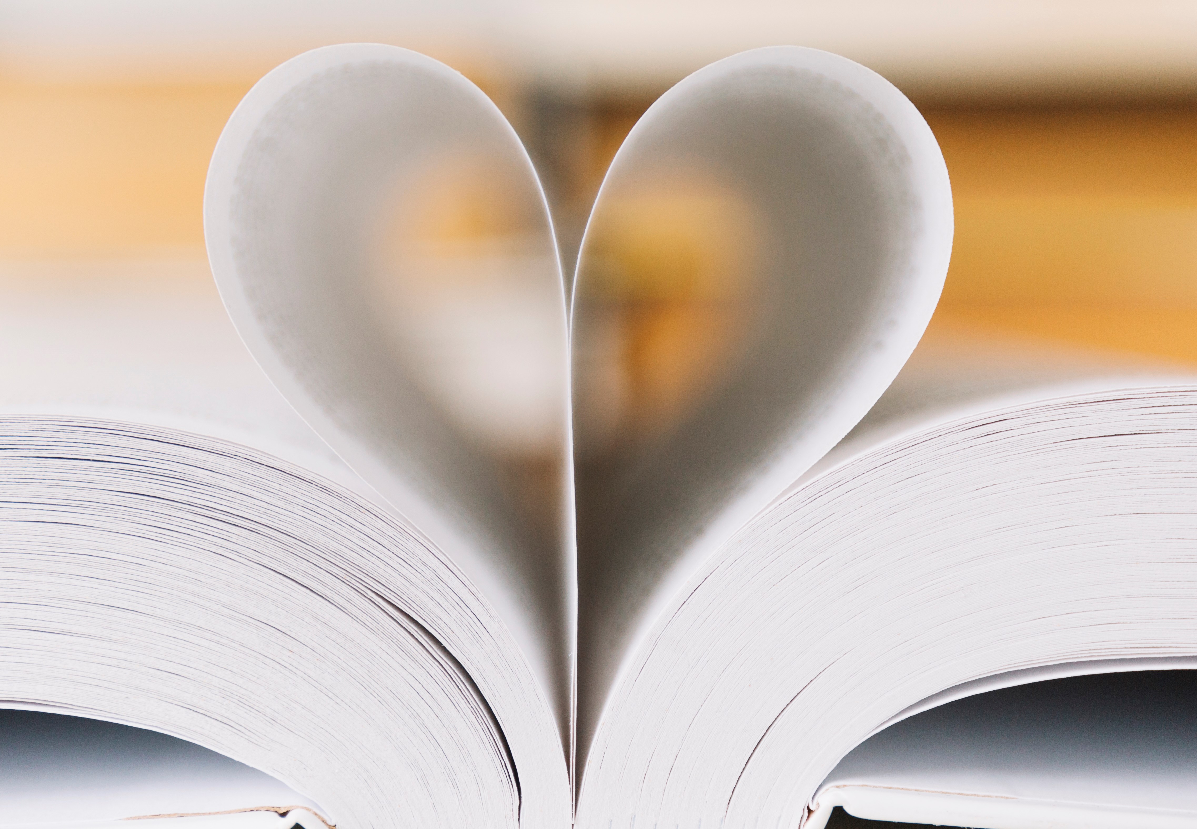 UNA BIBLIOTECA PER IL NORDAFRICA