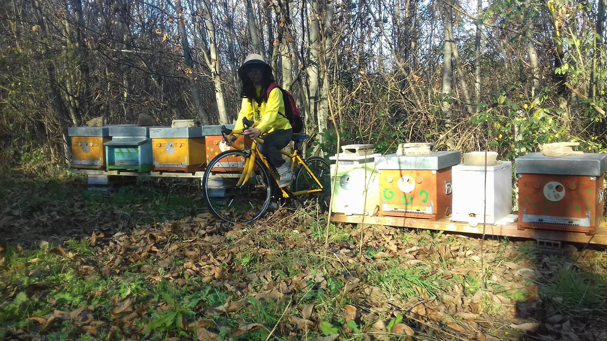 Compleanno briganti del bosco