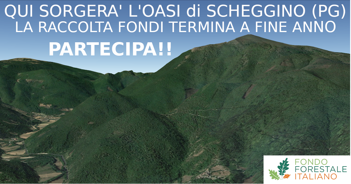 Salviamo le foreste! Creiamo in Umbria la prima Oasi Naturale del Fondo Forestale Italiano