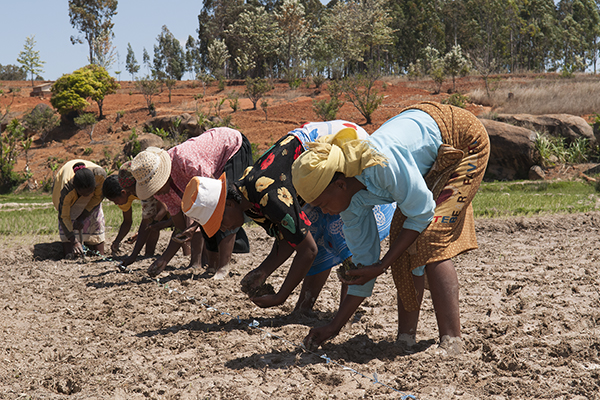 Diritti al femminile - Madagascar