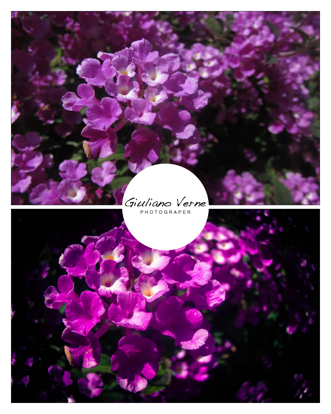 Una nuova macchina fotografica