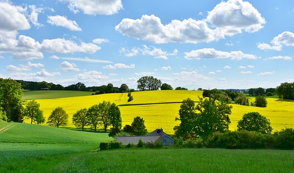 L'ALTRO FUTURO
blog di agricoltura etica